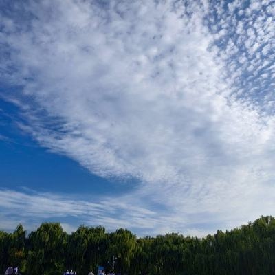 星级厨师游戏下载