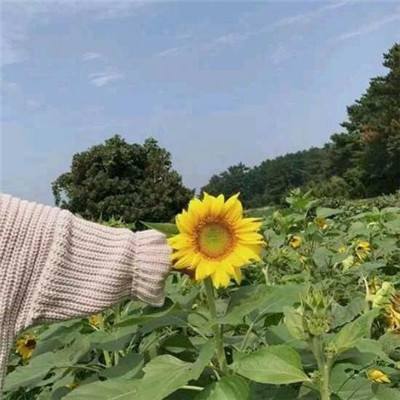 冒险跑跑跑手机版下载