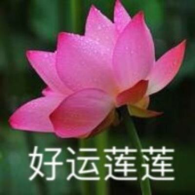 醉武侠果盘版下载